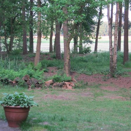 Vakantiehuis Op Top Locatie #Ommen Eksteriør billede